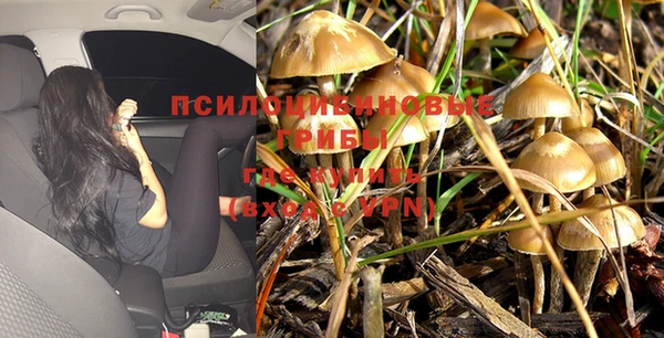 спайс Кинешма