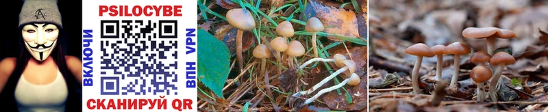 Галлюциногенные грибы MAGIC MUSHROOMS  Купить закладки  Ужур 